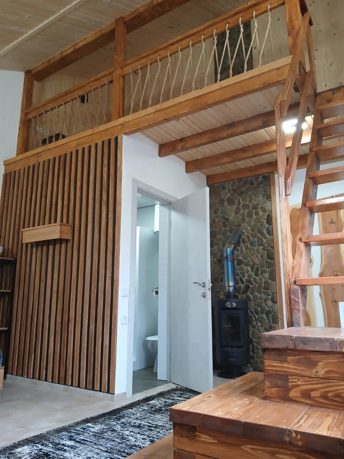 Privat-villa-котедж Mikuliczyn