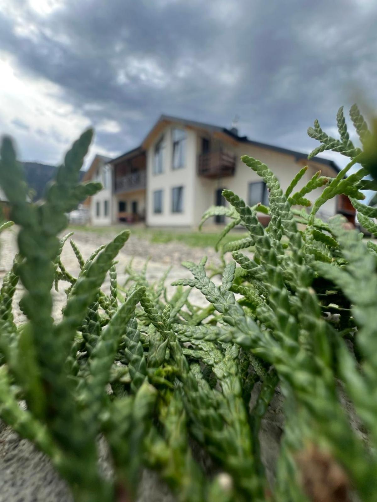 Privat-villa-котедж *